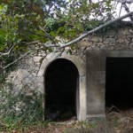 pirouniana_11 (10)