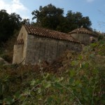 pirouniana_11 (12)