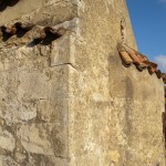 pirouniana_11 (4)