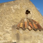 pirouniana_11 (5)