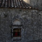 pirouniana_11 (6)