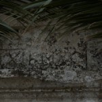 pirouniana_11 (8)