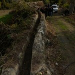 pirouniana_11 (9)
