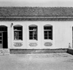 platanos_aspromavres (2)