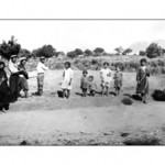 platanos_aspromavres (30)