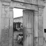 platanos_aspromavres (36)