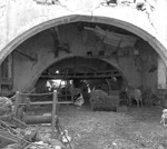 platanos_aspromavres (37)