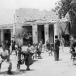 platanos_aspromavres (6)