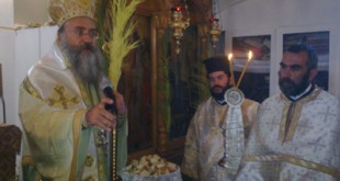 plora_2011 (4)