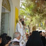 siva_ioannou_ksenou_1