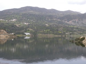 skourvoulafisis (4)