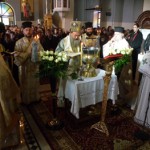 theofa_12 (10)
