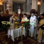 theofa_12 (13)