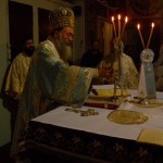theofa_12 (4)