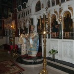 theofa_12 (5)