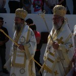 voni_11 (5)