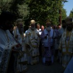 voni_11 (7)