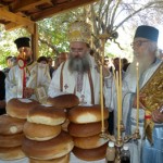 vori_11 (11)
