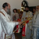 vori_11 (3)