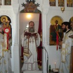 vori_11 (4)