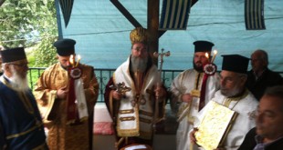 vori_12 (2)