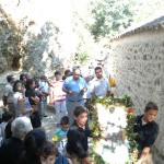 vourvoulitis2010 (1)