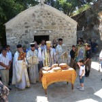 vourvoulitis2010 (3)