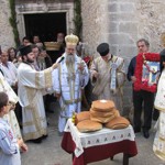 vront_14 (8)