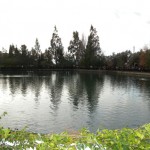 zaros_theofania_2011 (5)