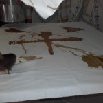 engenia_kardamiana_201620160925_103236