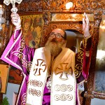 mesoxorio_2016dsc_1259