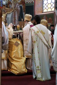 xirotonia_kirillou_2016img_6874