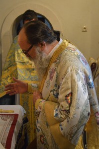 theofania_zaros_20163