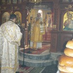 skourvoula_xirotonia_201717