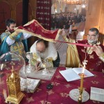 stavroproskinisi_201714