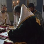 stavroproskinisi_201716