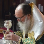 stavroproskinisi_201717