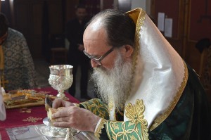 stavroproskinisi_201717