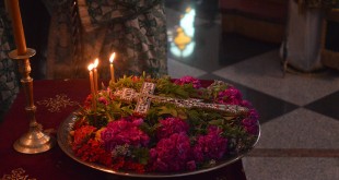 stavroproskinisi_20172