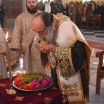 stavroproskinisi_20173