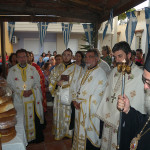 esperin_ag_parask_20172