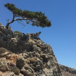 panigiri_koudouma_201721