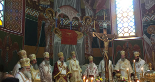 10xrona_kritis_20179