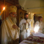 petrokefali_nikos_20172