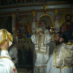 petrokefali_nikos_20178