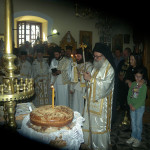 petrokefali_nikos_20179