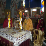 prinias_maleviziou_3-11-171