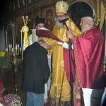 prinias_maleviziou_3-11-1710