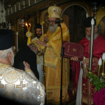 prinias_maleviziou_3-11-1711