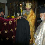 prinias_maleviziou_3-11-1713